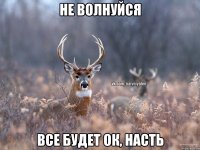 Не волнуйся Все будет ок, Насть