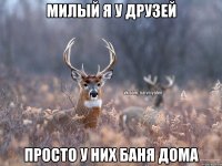 Милый я у друзей Просто у них баня дома