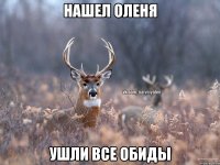 Нашел оленя Ушли все обиды