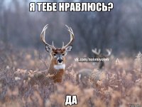 я тебе нравлюсь? да