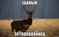 Ебаный Эстооооооонец