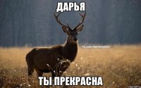 Дарья Ты прекрасна