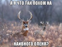 А я что так похож на наивного оленя?