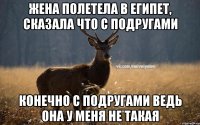 Жена полетела в Египет, сказала что с подругами Конечно с подругами ведь она у меня не такая