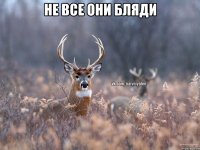 не все они бляди 