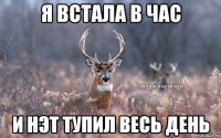 я встала в час и нэт тупил весь день