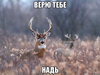 Верю тебе Надь