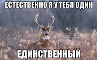 естественно я у тебя один единственный