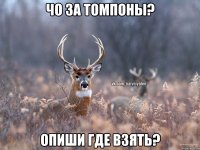 чо за томпоны? опиши где взять?