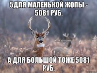 5для маленькой жопы - 5081 руб. а для большой тоже 5081 руб.