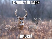 в мене тел здох ну окей