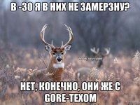 В -30 я в них не замерзну? Нет, конечно, они же с GORE-TEXом