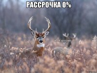 Рассрочка 0% 