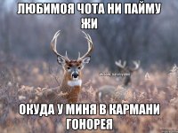 ЛЮБИМОЯ ЧОТА НИ ПАЙМУ ЖИ ОКУДА У МИНЯ В КАРМАНИ ГОНОРЕЯ