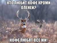 КТО ЛЮБИТ КОФЕ КРОМИ ОЛЕНЕЙ? КОФЕ ЛЮБЯТ ВСЕ ЖИ!