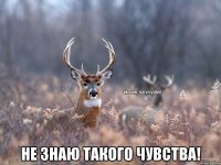  Не знаю такого чувства!