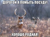 Дорогой я помыть посуду! Хорошо родная!