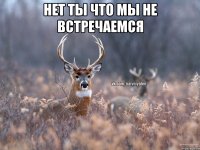 Нет ты что мы не встречаемся 