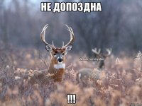 Не допоздна !!!