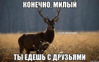 Конечно, милый Ты едешь с друзьями