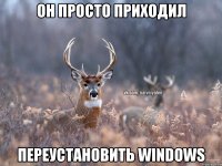 он просто приходил переустановить windows