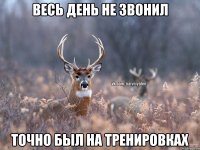 Весь день не звонил Точно был на тренировках