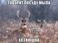 Говорит посуду мыла Хозяюшка