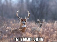  Ты у меня одна