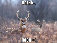 Олень... ЛООЛ +)