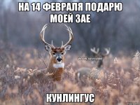 на 14 февраля подарю моей зае кунлингус