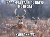 на 14 февраля подарю моей зае кунилингус