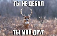 Ты не дебил Ты мой друг