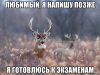 ЛЮБИМЫЙ, Я НАПИШУ ПОЗЖЕ Я ГОТОВЛЮСЬ К ЭКЗАМЕНАМ