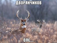 ДВОРЯНЧИКОВ ОЛЕ.....