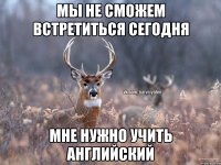 Мы не сможем встретиться сегодня мне нужно учить английский