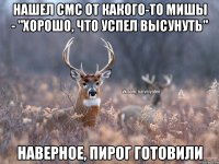 Нашел смс от какого-то Мишы - "Хорошо, что успел высунуть" Наверное, пирог готовили