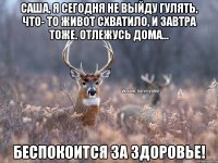 Саша, я сегодня не выйду гулять, что- то живот схватило, и завтра тоже. отлежусь дома... беспокоится за здоровье!