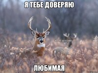 Я тебе доверяю Любимая