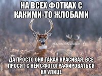 НА ВСЕХ ФОТКАХ С КАКИМИ-ТО ЖЛОБАМИ ДА ПРОСТО ОНА ТАКАЯ КРАСИВАЯ, ВСЕ ПРОСЯТ С НЕЙ СФОТОГРАФИРОВАТЬСЯ НА УЛИЦЕ