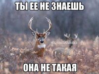 ТЫ ЕЕ НЕ ЗНАЕШЬ ОНА НЕ ТАКАЯ