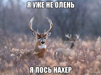 я уже не олень я лось нахер