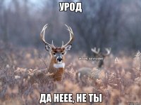 Урод Да неее, не ты