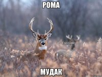 рома мудак