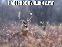 Наверное лучший друг 