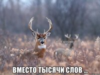  вместо тысячи слов ...