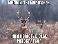 Милый, ты мне нужен, Но я не могу в себе разобраться