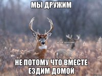 мы дружим Не потому что вместе ездим домой