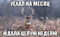 Уехал на месяц Ждала целую неделю