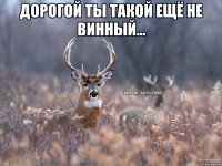 Дорогой ты такой ещё не винный... 