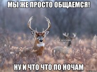 Мы же просто общаемся! Ну и что что по ночам